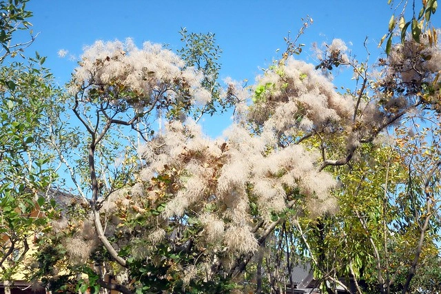 【日本三重】名花之里.なばなの里~日本冬季最大燈海,冬季百萬點燈活動(附從榮町到長島溫泉outlet的交通方式) @飛天璇的口袋