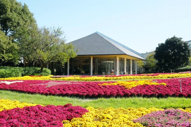 【日本三重】名花之里.なばなの里~日本冬季最大燈海,冬季百萬點燈活動(附從榮町到長島溫泉outlet的交通方式) @飛天璇的口袋