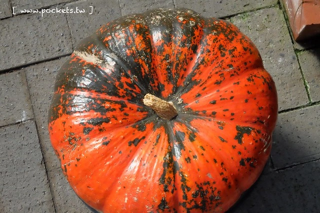 【日本三重】名花之里.なばなの里~日本冬季最大燈海,冬季百萬點燈活動(附從榮町到長島溫泉outlet的交通方式) @飛天璇的口袋