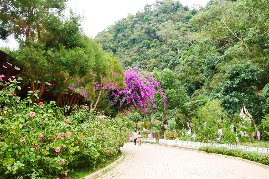 台中新社|安妮公主花園|新社浪漫的粉紅景觀餐廳,親子、情侶假日休閒的好去處 @飛天璇的口袋