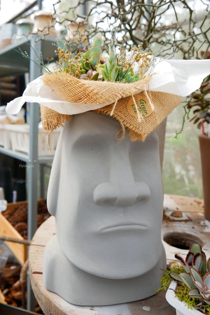 綠果庭院|田尾多肉植物控的天堂,彰化田尾IG熱門打卡景點 @飛天璇的口袋