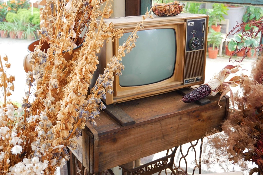 綠果庭院|田尾多肉植物控的天堂,彰化田尾IG熱門打卡景點 @飛天璇的口袋