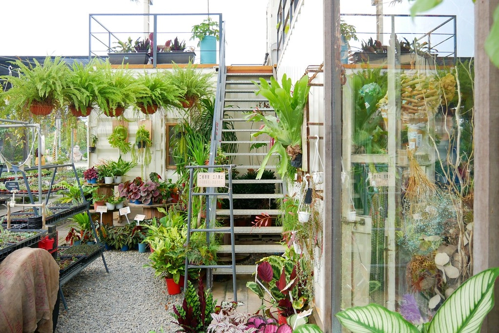 綠果庭院|田尾多肉植物控的天堂,彰化田尾IG熱門打卡景點 @飛天璇的口袋