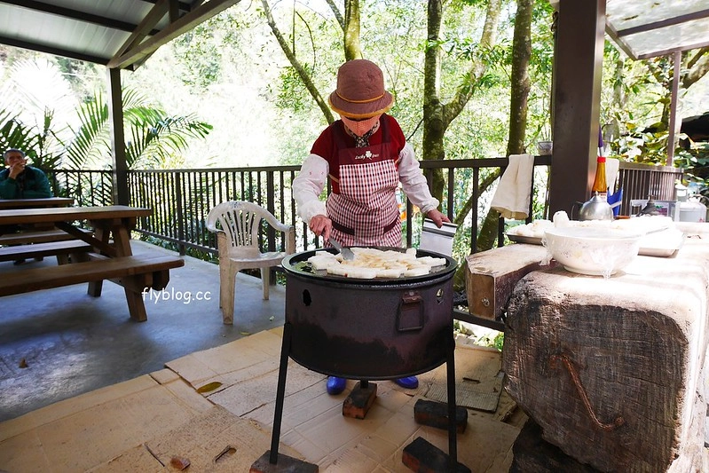 南投水里|阿成的家.在龍眼樹下吃百匯料理,大哥窯烤歐式麵包 @飛天璇的口袋