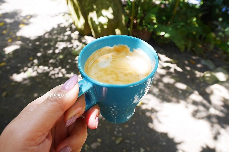 南投水里|阿成的家.在龍眼樹下吃百匯料理,大哥窯烤歐式麵包 @飛天璇的口袋