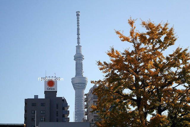 日本東京|雷門+淺草寺+晴空塔一日遊,旅遊網站統計,觀光客第一次到東京必遊景點 @飛天璇的口袋