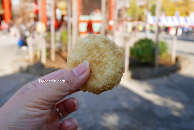日本東京|雷門+淺草寺+晴空塔一日遊,旅遊網站統計,觀光客第一次到東京必遊景點 @飛天璇的口袋