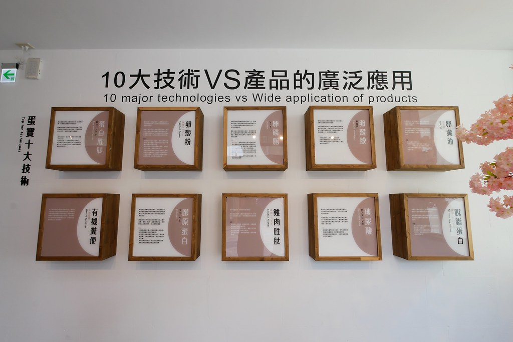 蛋寶生技不老村┃桃園旅遊:充滿日本江戶風情的觀光工廠,紅色大鳥居IG桃園打卡熱門景點 @飛天璇的口袋