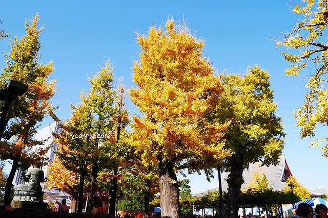 日本東京|雷門+淺草寺+晴空塔一日遊,旅遊網站統計,觀光客第一次到東京必遊景點 @飛天璇的口袋