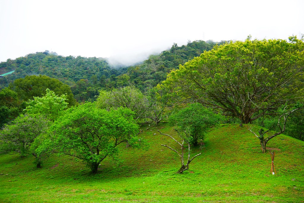 【南投水里】明潭水庫 X 大觀發電廠:在地人推薦南投秘密旅遊景點,還可以品嚐電廠獨家販售枝仔冰 @飛天璇的口袋