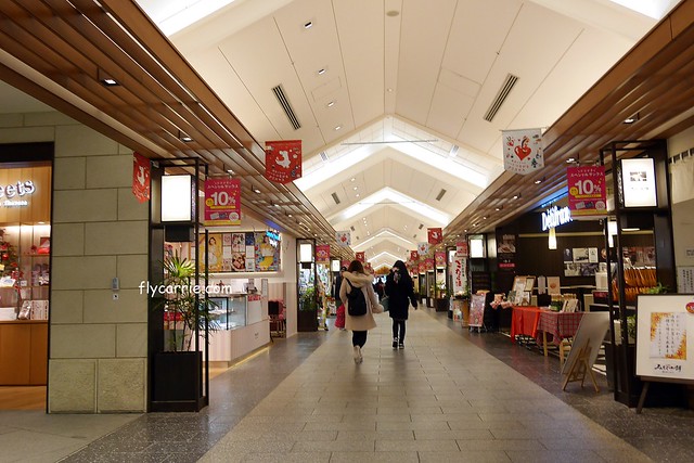 日本東京|東京輕井澤5天4夜自由行懶人包,東京必玩景點、必吃美食、必買商品、飯店住宿、交通方式、行程分享 @飛天璇的口袋