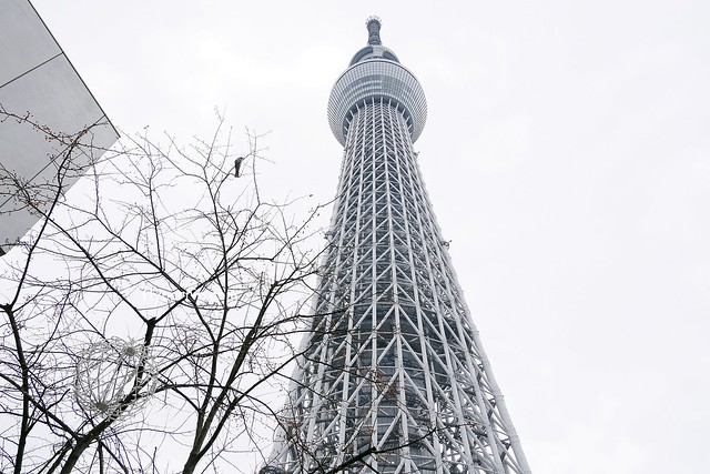 日本東京|雷門+淺草寺+晴空塔一日遊,旅遊網站統計,觀光客第一次到東京必遊景點 @飛天璇的口袋