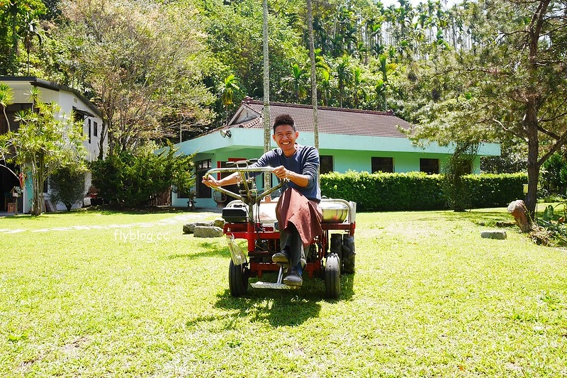 南投水里|阿成的家.在龍眼樹下吃百匯料理,大哥窯烤歐式麵包 @飛天璇的口袋