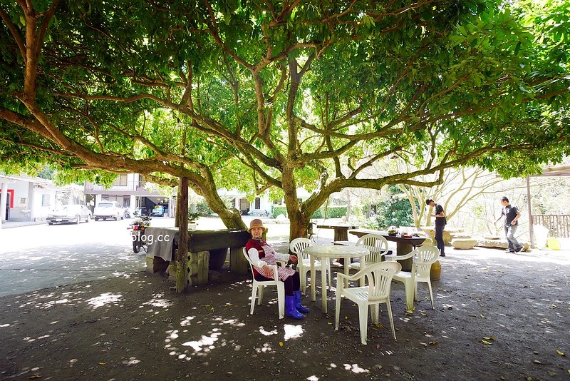 南投水里|阿成的家.在龍眼樹下吃百匯料理,大哥窯烤歐式麵包 @飛天璇的口袋