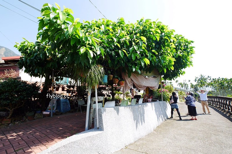 南投水里|阿成的家.在龍眼樹下吃百匯料理,大哥窯烤歐式麵包 @飛天璇的口袋