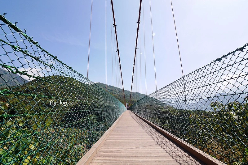 南投水里|阿成的家.在龍眼樹下吃百匯料理,大哥窯烤歐式麵包 @飛天璇的口袋