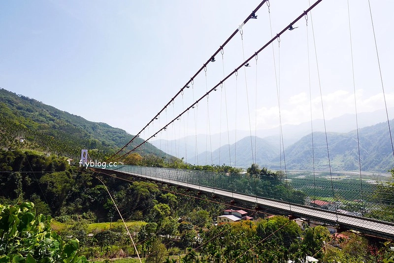 南投水里|阿成的家.在龍眼樹下吃百匯料理,大哥窯烤歐式麵包 @飛天璇的口袋