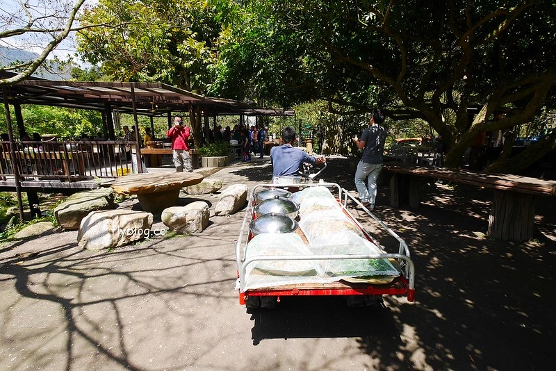 南投水里|阿成的家.在龍眼樹下吃百匯料理,大哥窯烤歐式麵包 @飛天璇的口袋