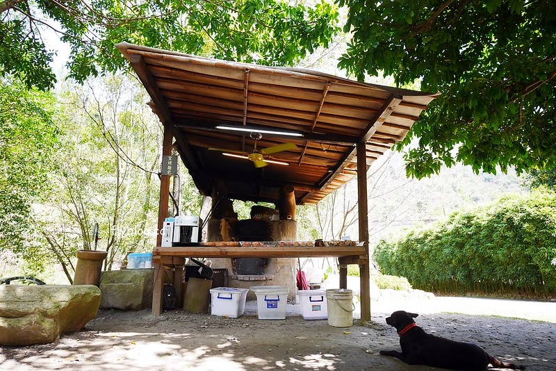 南投水里|阿成的家.在龍眼樹下吃百匯料理,大哥窯烤歐式麵包 @飛天璇的口袋