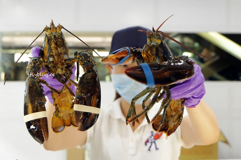 Captain Lobster龍蝦堡台中快閃店┃台中西屯美食:整隻500公克重的豪華活龍蝦,還多了古巴三明治和松葉蟹堡,超霸氣龍蝦套餐千元有找 @飛天璇的口袋