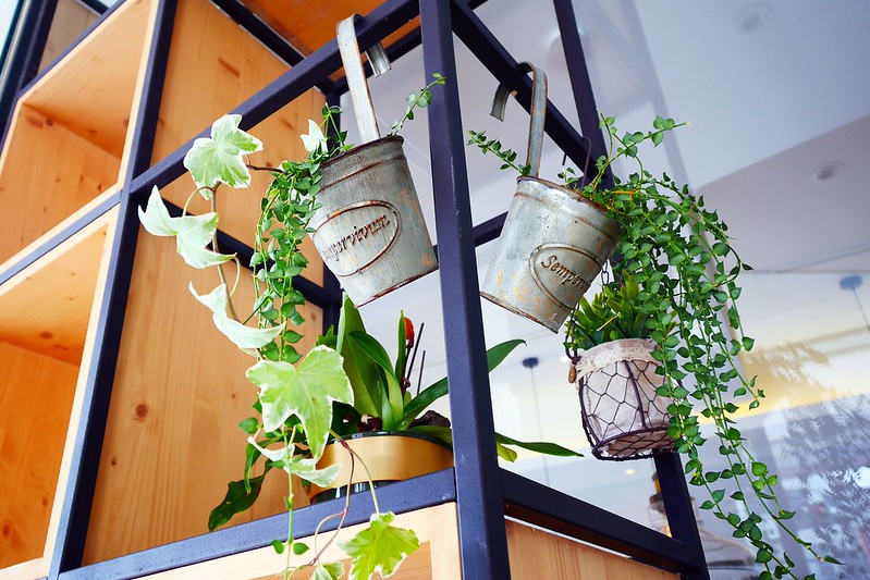 日許時間┃台中北區美食:充滿日式雜貨風的餐廳,餐點輕爽平價好吃,轉角遇見都市中的叢林 @飛天璇的口袋