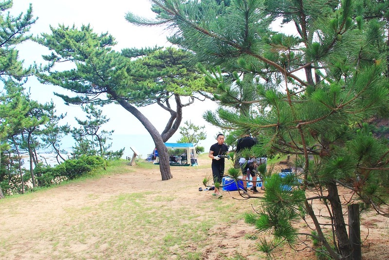 日本京都|琴引濱|日本最長的嗚砂海域,有會唱歌的砂子,還有露天溫泉可以泡湯,再體驗DIY手工蠟燭 @飛天璇的口袋