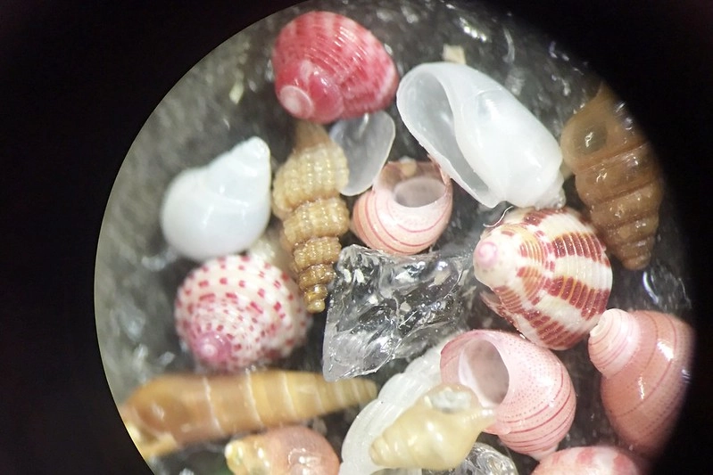 日本京都|琴引濱|日本最長的嗚砂海域,有會唱歌的砂子,還有露天溫泉可以泡湯,再體驗DIY手工蠟燭 @飛天璇的口袋