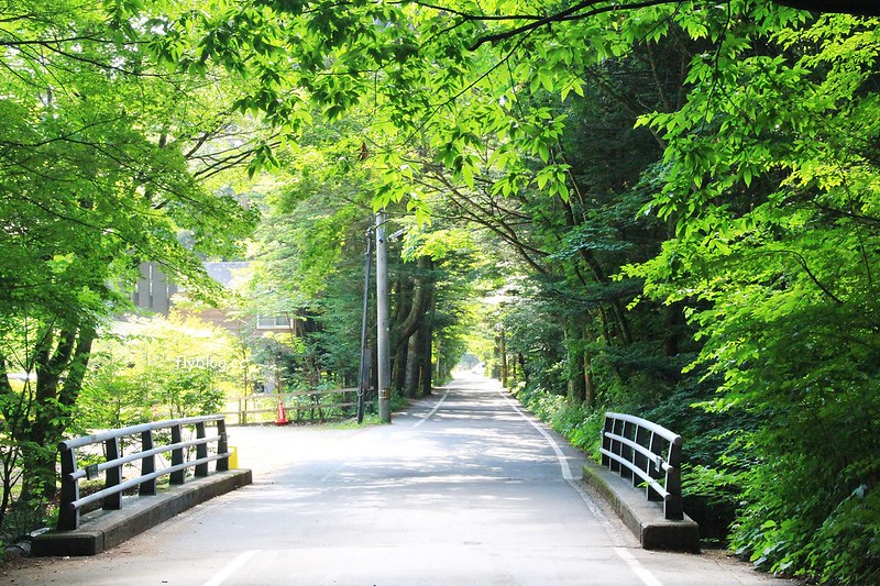 日本長野|舊輕井澤一日遊,雲場池、聖保羅教會、銀座商店街銀座、輕井澤觀光會館、諏訪神社、澤圭音羽之森酒店、矢崎公園、茜屋珈琲店 @飛天璇的口袋