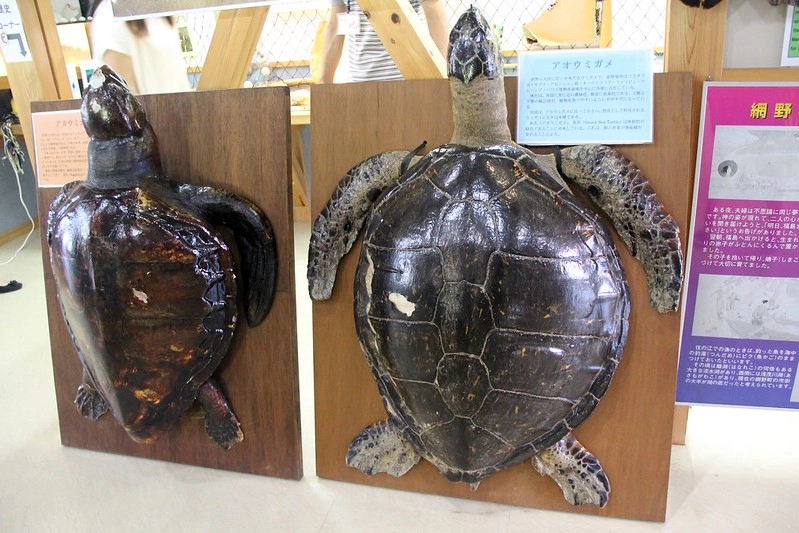 日本京都|琴引濱|日本最長的嗚砂海域,有會唱歌的砂子,還有露天溫泉可以泡湯,再體驗DIY手工蠟燭 @飛天璇的口袋