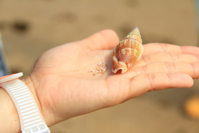 日本京都|琴引濱|日本最長的嗚砂海域,有會唱歌的砂子,還有露天溫泉可以泡湯,再體驗DIY手工蠟燭 @飛天璇的口袋