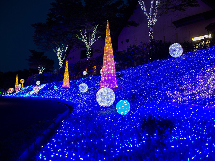 日本京都|丹後王國(美食之都)~西日本最大道の駅,結合餐飲、娛樂、景觀、住宿和購物,有100萬顆燈炮組成的天空遊步道 @飛天璇的口袋