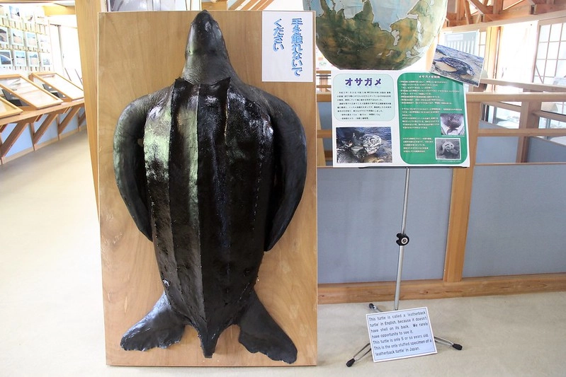 日本京都|琴引濱|日本最長的嗚砂海域,有會唱歌的砂子,還有露天溫泉可以泡湯,再體驗DIY手工蠟燭 @飛天璇的口袋