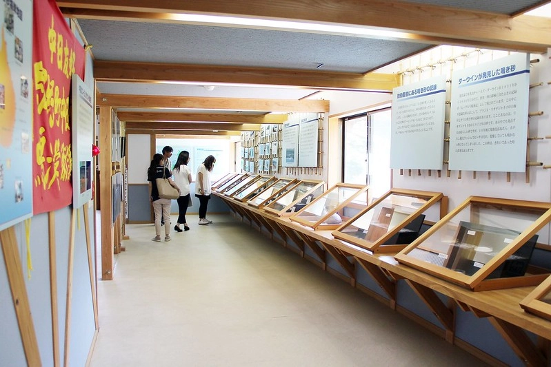 日本京都|琴引濱|日本最長的嗚砂海域,有會唱歌的砂子,還有露天溫泉可以泡湯,再體驗DIY手工蠟燭 @飛天璇的口袋