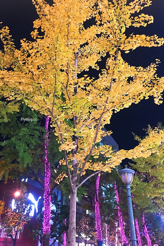 日本大阪|大阪光之饗宴|大阪光之饗宴,2019/11/4~ 2020/1/31,御堂筋(阪神前交差点~難波西口交差点) @飛天璇的口袋