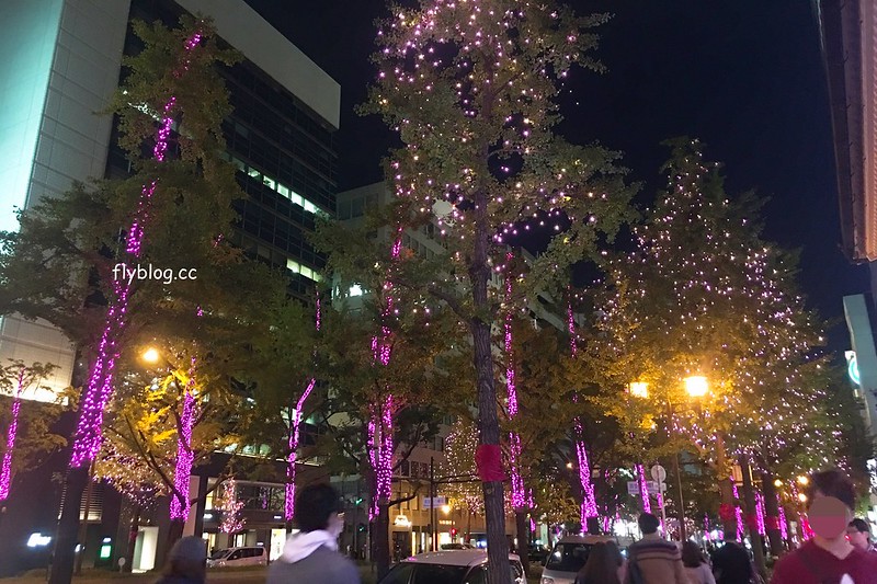 日本大阪|大阪光之饗宴|大阪光之饗宴,2019/11/4~ 2020/1/31,御堂筋(阪神前交差点~難波西口交差点) @飛天璇的口袋