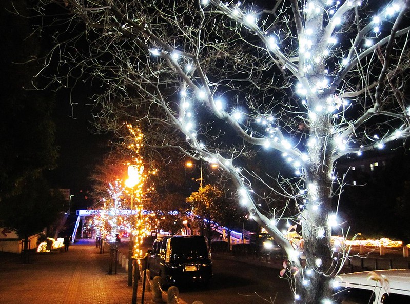 日本大阪|大阪光之饗宴|大阪光之饗宴,2019/11/4~ 2020/1/31,御堂筋(阪神前交差点~難波西口交差点) @飛天璇的口袋