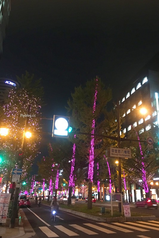 日本大阪|大阪光之饗宴|大阪光之饗宴,2019/11/4~ 2020/1/31,御堂筋(阪神前交差点~難波西口交差点) @飛天璇的口袋