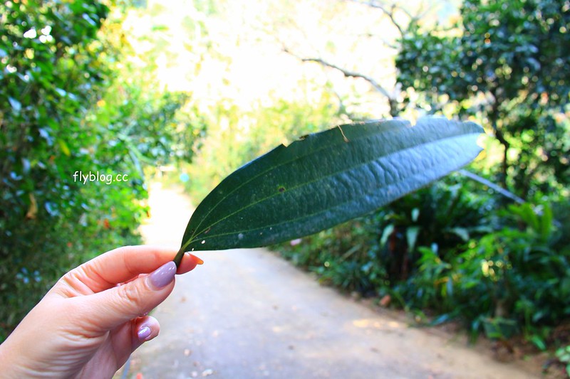 2018花博在后里┃台中后里:結果花博以及農遊,採果、露營、梨の筆DIY,搭配兩天一夜露營行程,后里也有不同的玩法 @飛天璇的口袋