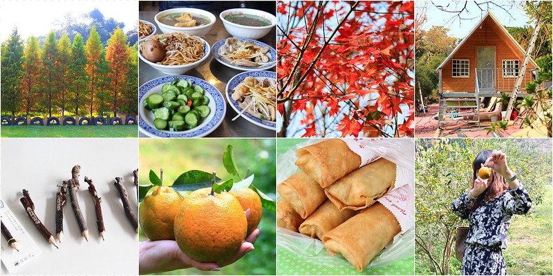 2018花博在后里┃台中后里:結果花博以及農遊,採果、露營、梨の筆DIY,搭配兩天一夜露營行程,后里也有不同的玩法 @飛天璇的口袋