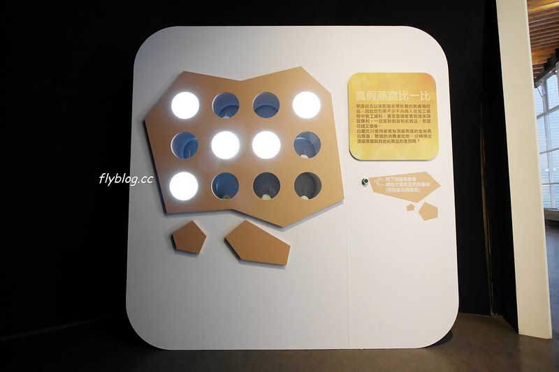 白蘭氏健康博物館:全台第一座以健康為主題的博物館,免費門票又可以寓教於樂,兒童節有推出精彩活動 @飛天璇的口袋