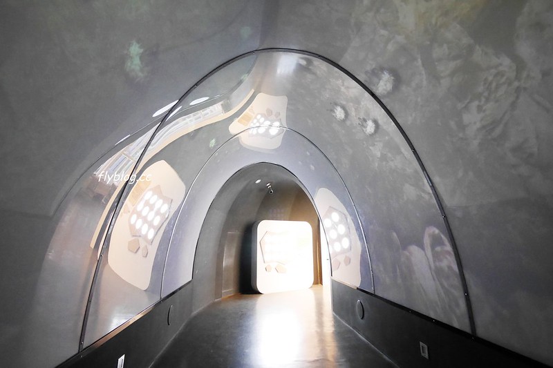 白蘭氏健康博物館:全台第一座以健康為主題的博物館,免費門票又可以寓教於樂,兒童節有推出精彩活動 @飛天璇的口袋