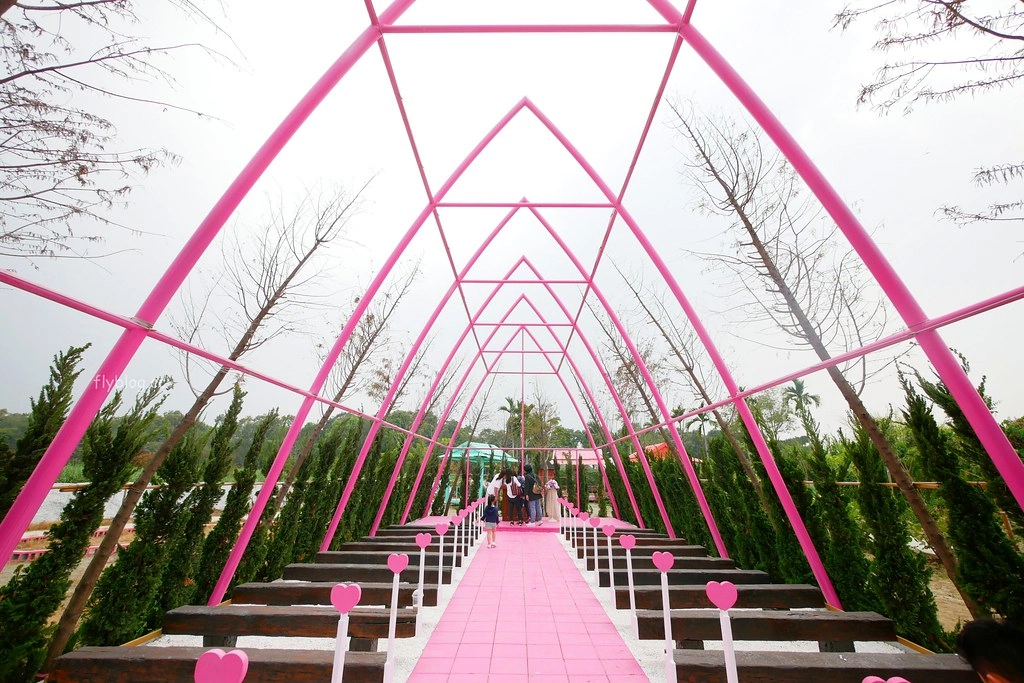 雲林古坑|古坑珍.粉紅城堡.水漾森林教堂:充滿浪漫氛圍的童話森林~粉紅城堡、大草原、彩虹步道、水漾森林,情侶約會和親子旅遊的好地方 @飛天璇的口袋