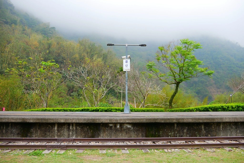 南投水里|車埕一日遊.搭乘小火車,絕美貯木池,車埕美食景點推薦 @飛天璇的口袋 南投水里|車埕一日遊.搭乘小火車,絕美貯木池,車埕美食景點推薦 @飛天璇的口袋