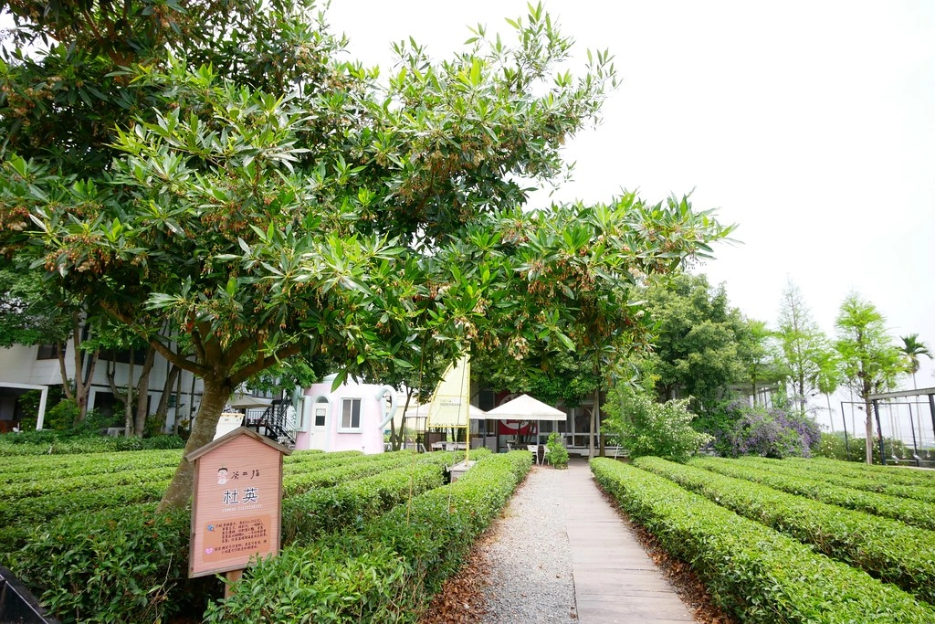 茶二指故事館|超好拍觀光茶園,投進大自然的懷抱,日本和服體驗、茶葉DIY手作課程、可愛彩色水管屋 @飛天璇的口袋