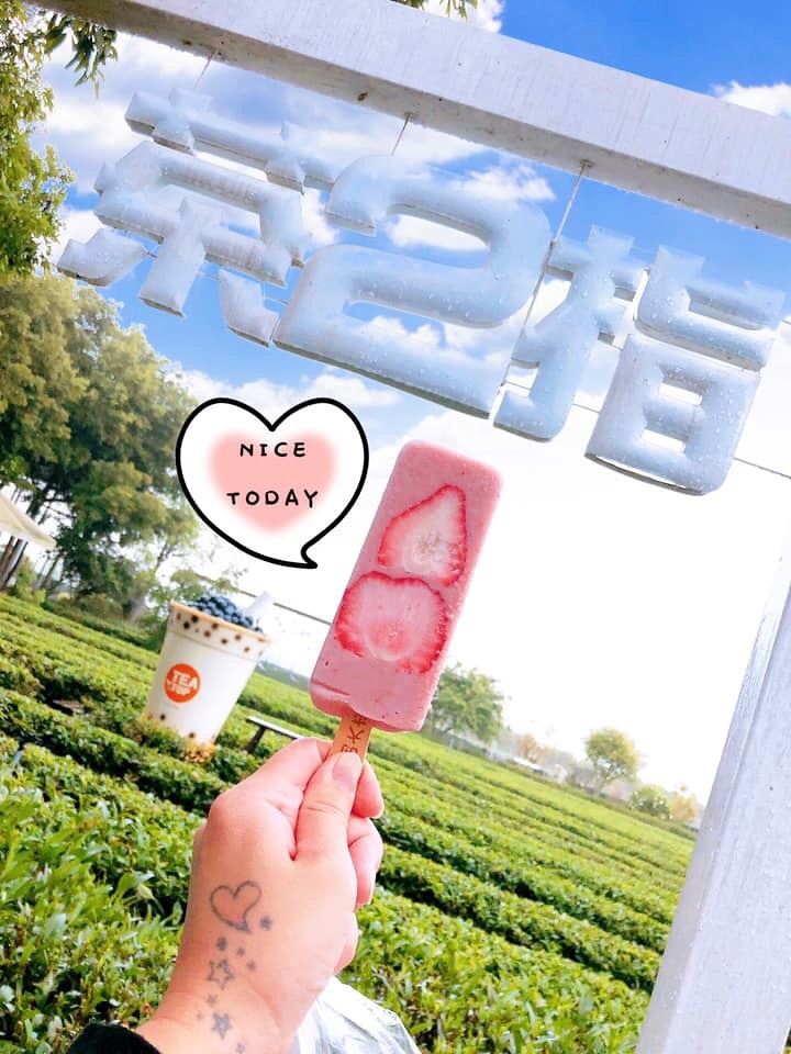 茶二指故事館|超好拍觀光茶園,投進大自然的懷抱,日本和服體驗、茶葉DIY手作課程、可愛彩色水管屋 @飛天璇的口袋