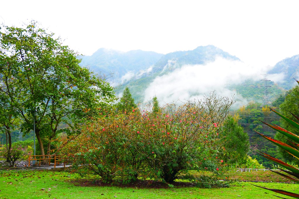 【南投水里】明潭水庫 X 大觀發電廠:在地人推薦南投秘密旅遊景點,還可以品嚐電廠獨家販售枝仔冰 @飛天璇的口袋