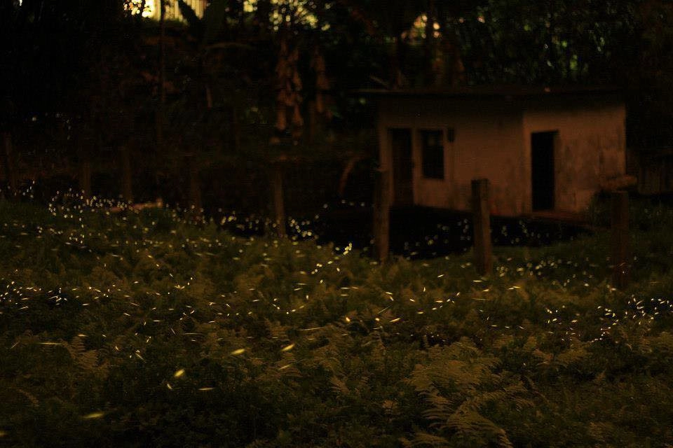 【南投旅遊】南投2天1輕旅行,集集車站、南投中興新村、草屯伴手禮~親子旅遊、家庭旅遊…好吃美食、好玩景點、住宿推薦! @飛天璇的口袋