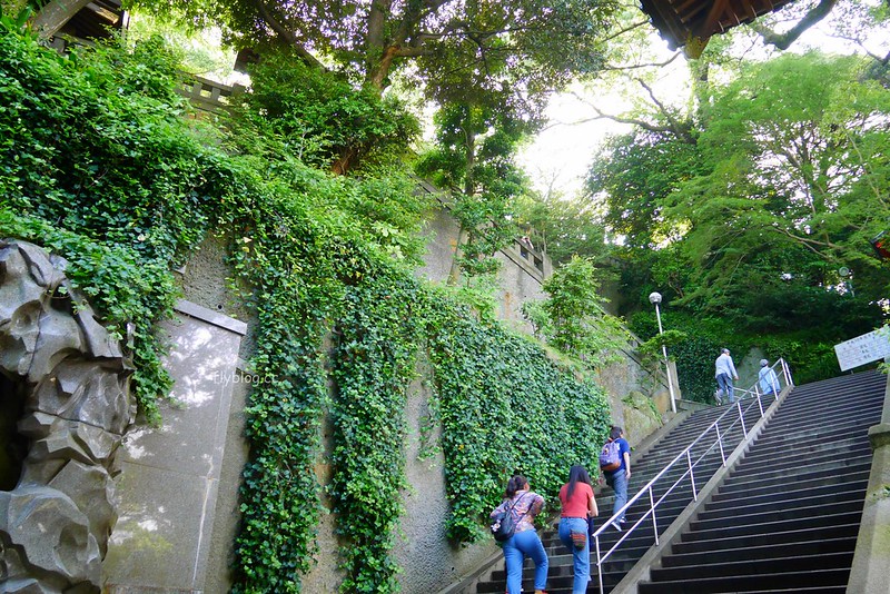 日本神奈川|江之島半日遊,鎌倉江之島這樣玩,交通方式、旅遊景點、美食推薦 @飛天璇的口袋