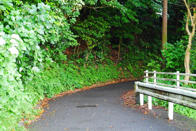 日本神奈川|江之島半日遊,鎌倉江之島這樣玩,交通方式、旅遊景點、美食推薦 @飛天璇的口袋