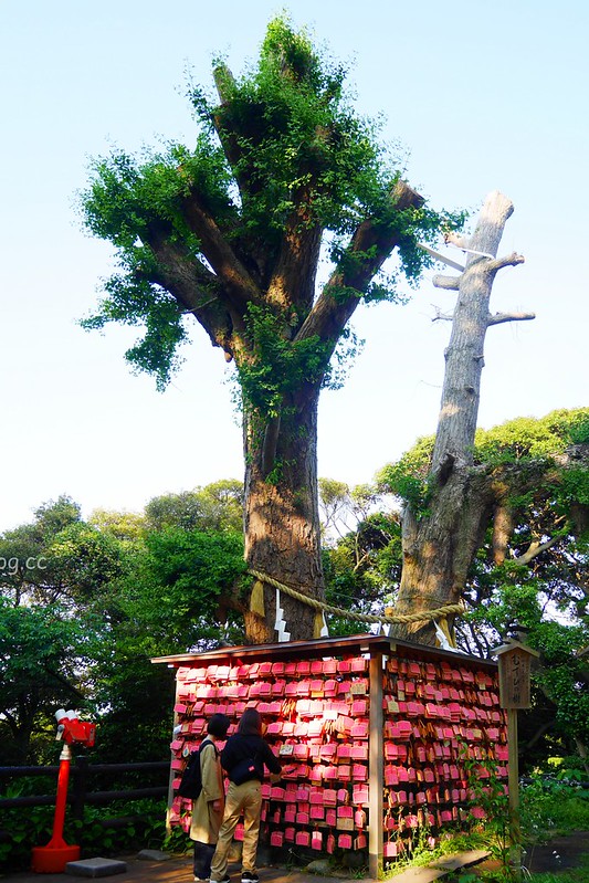 日本神奈川|江之島半日遊,鎌倉江之島這樣玩,交通方式、旅遊景點、美食推薦 @飛天璇的口袋